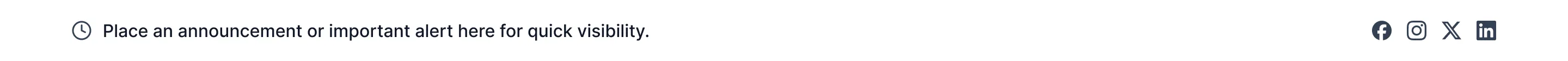Banner B2