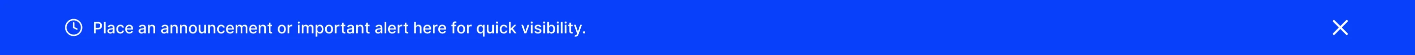 Banner B5