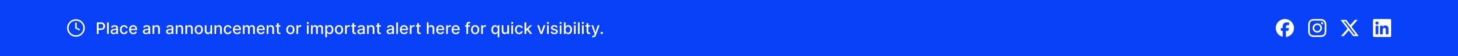 Banner B6
