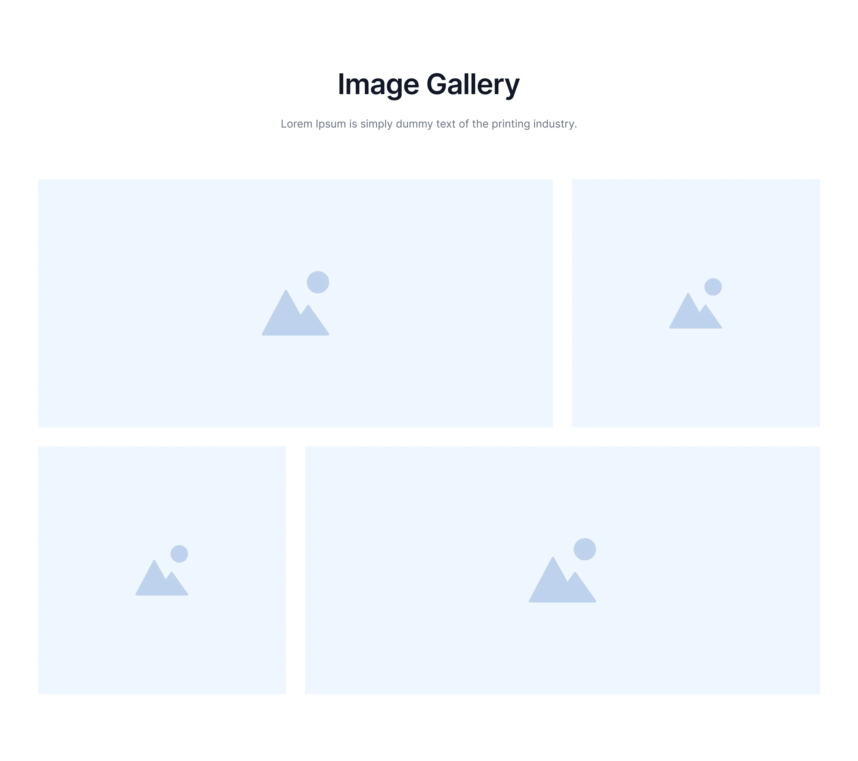 Gallery C5