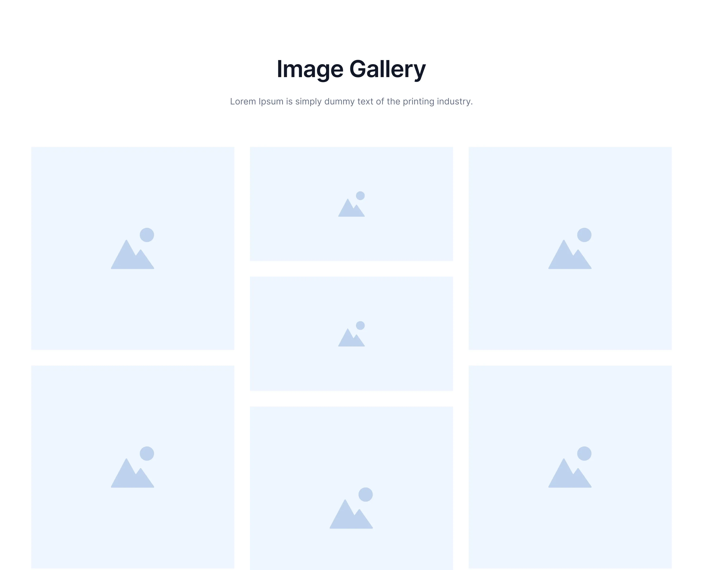 Gallery C6