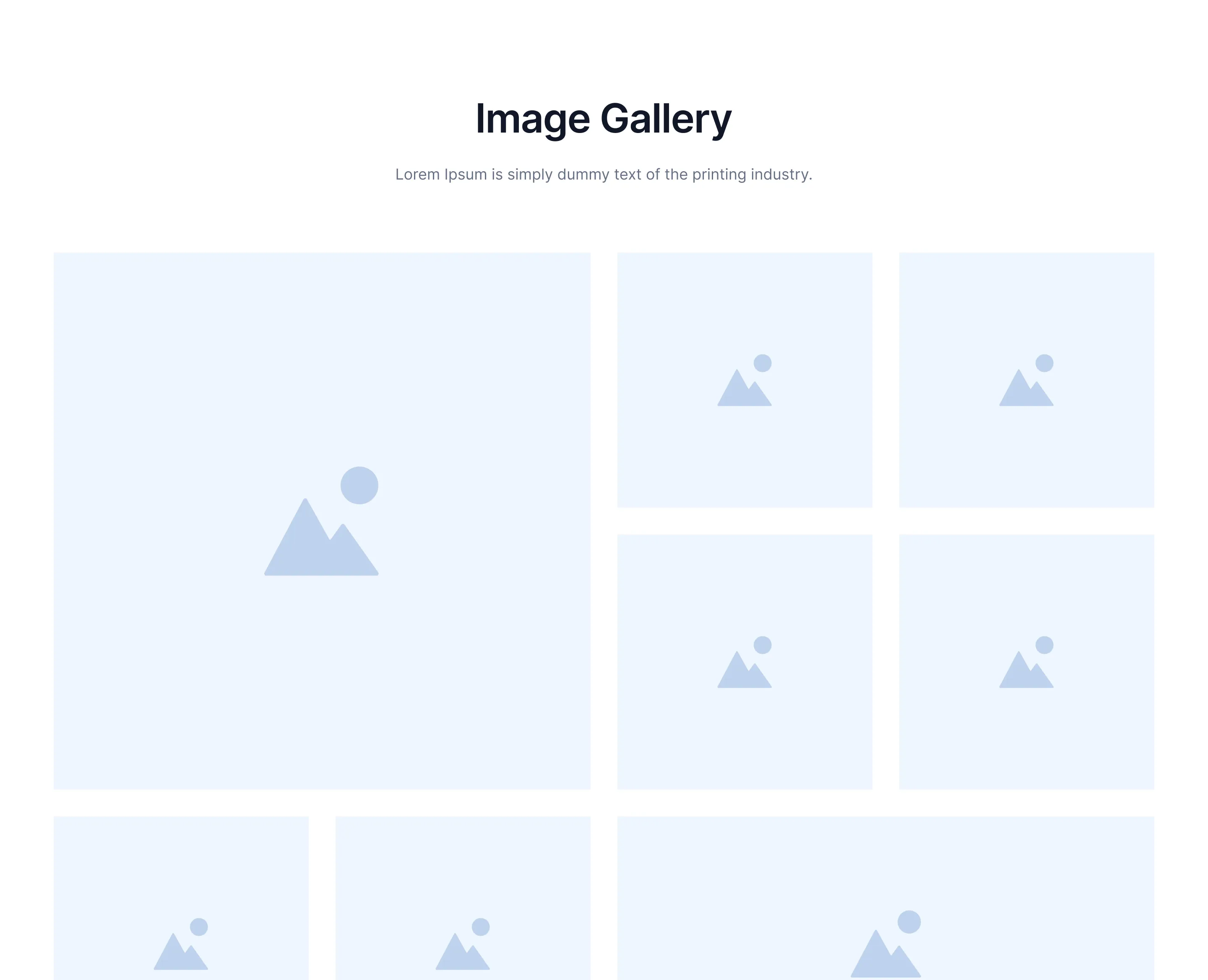 Gallery D5